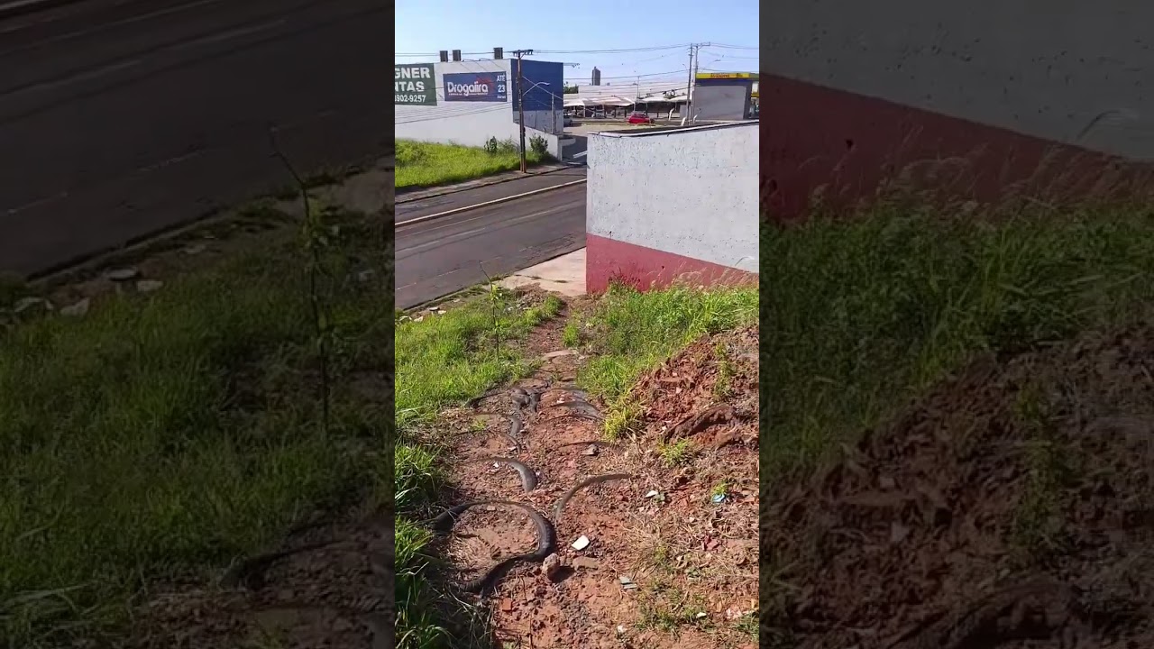 Cuidado...cada um no seu quadrado é bem melhor....