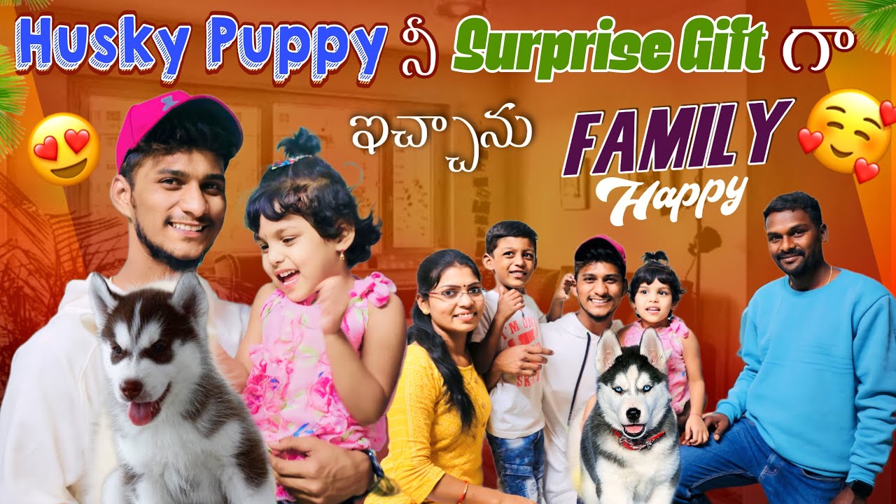 Husky Puppy ని Surprise Gift గా ఇచ్చాను Family Happy | Shree Prabha Sister | Telugu Vlogs