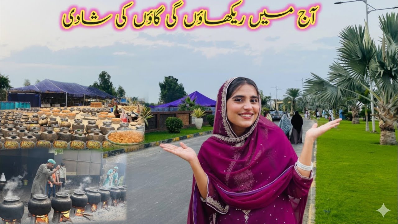 Aaj Main Gayi Gaon Ki Shadi | My Daily Vlog | Traditional Village Wedding Vlog 2025