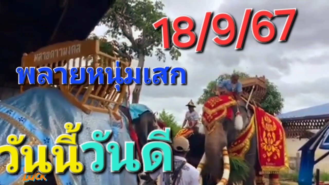 พลายหนุ่มเสก 18/9/67🐘🎶💙วันนี้วันดี ขอให้มีแต่ความสุขค่ะ💙🐘🎶@ตุ้มเพื่อนเพลง