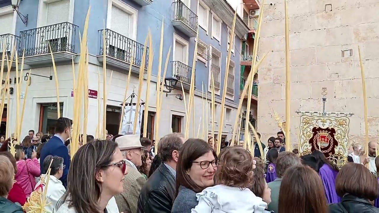 Telenegro - Domingo de Ramos, Procesión de las palmas 13 de Abril 2025 aspe (Alicante)