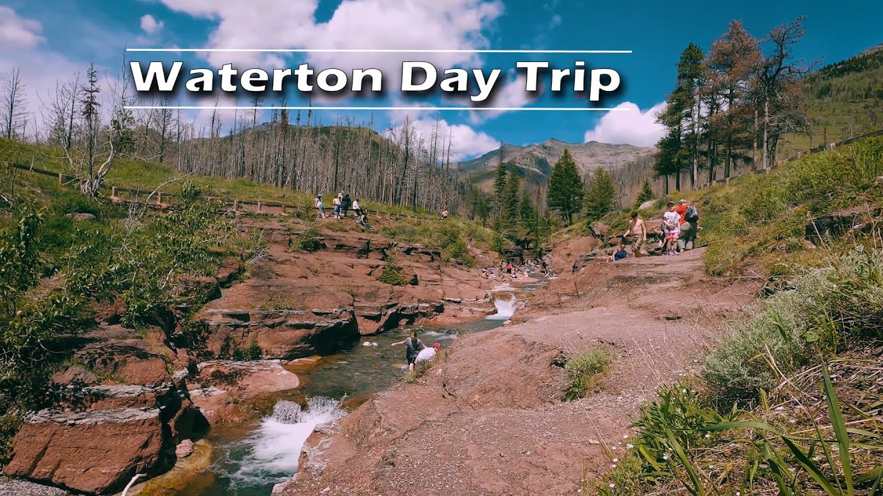 Waterton Lakes National Park Day Trip 2020 | Journey Alberta