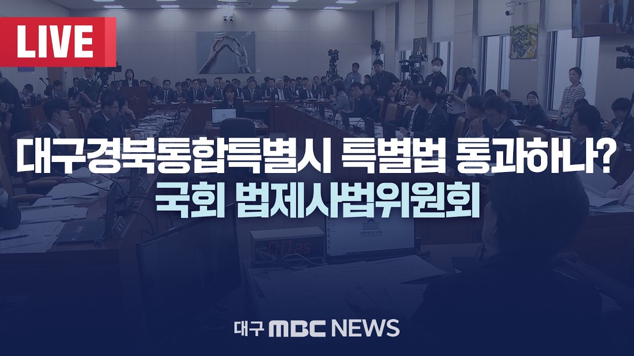 대구경북통합특별시 특별법 통과하나? 국회 법제사법위원회 [LIVE] | 대구MBC 2026년 2월 24일
