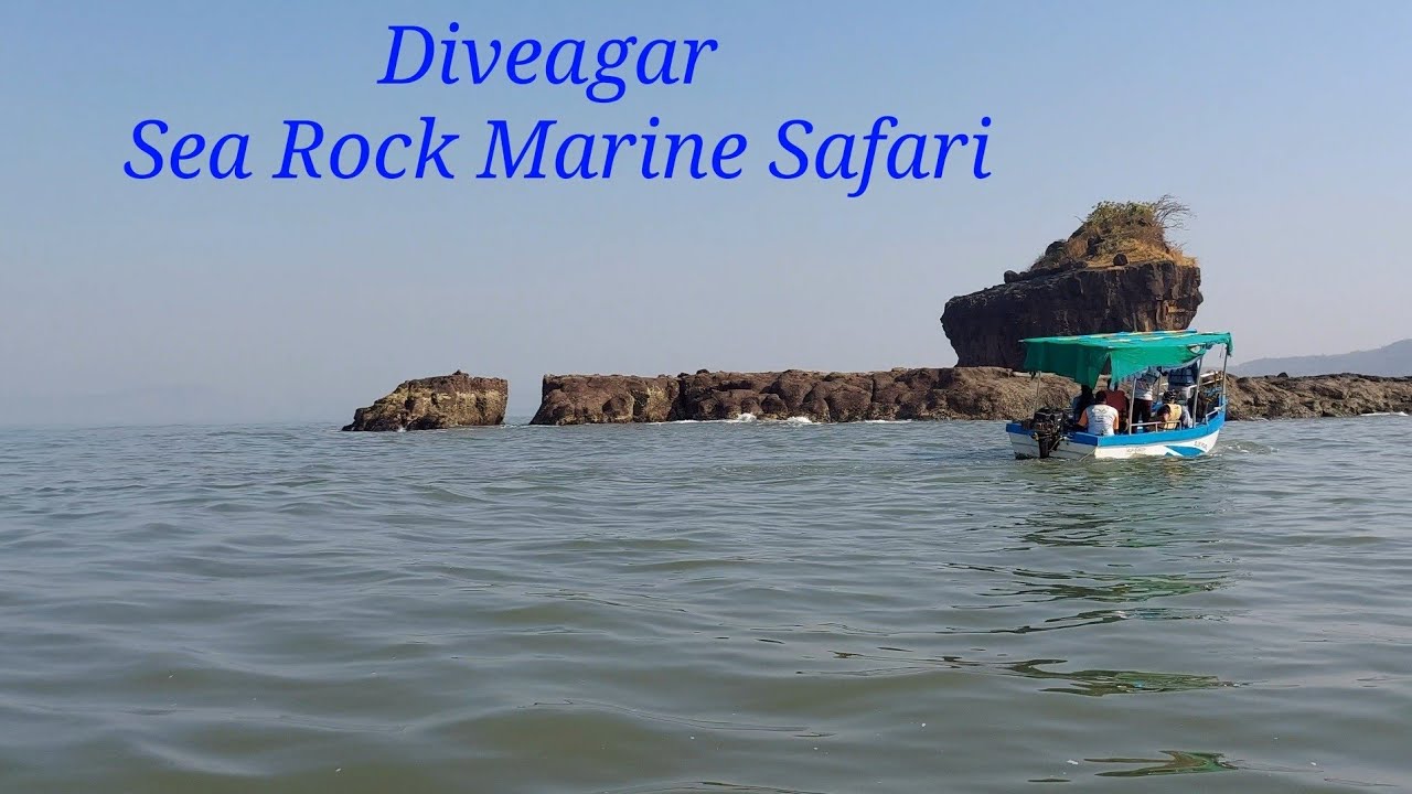 Diveagar Marine Safari, near Bharadkhol Village | Dolphin sightings | Migratory birds