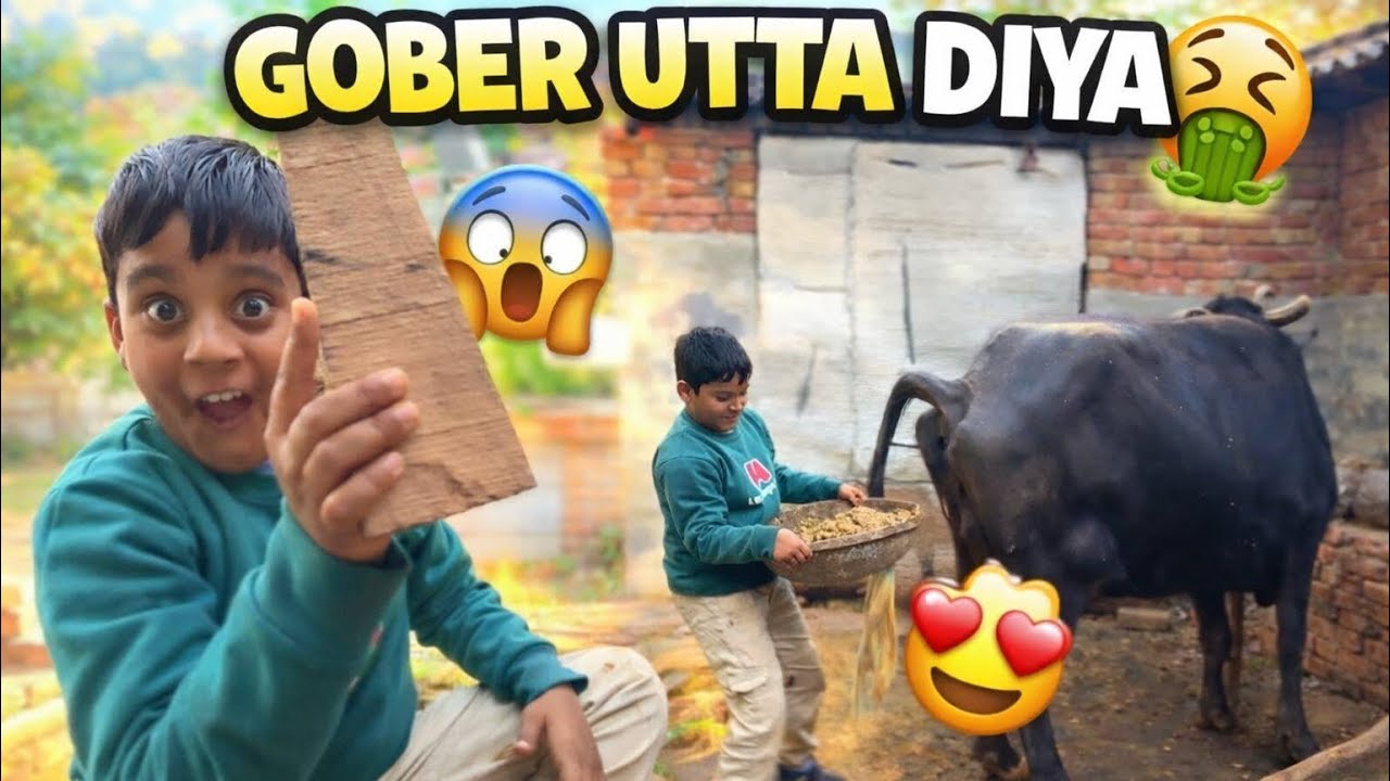 Systumm hi hang kar diya 😓🤣