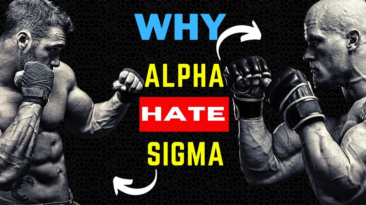5 Reasons Why Alpha Males Hate Sigma Males (HARSH TRUTH)