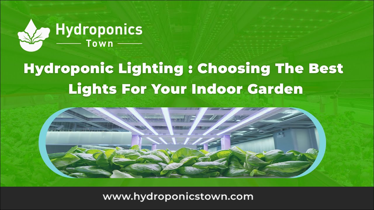 Hydroponic Lighting : Choosing The Best Lights For Your Indoor Garden - Hydroponics Town