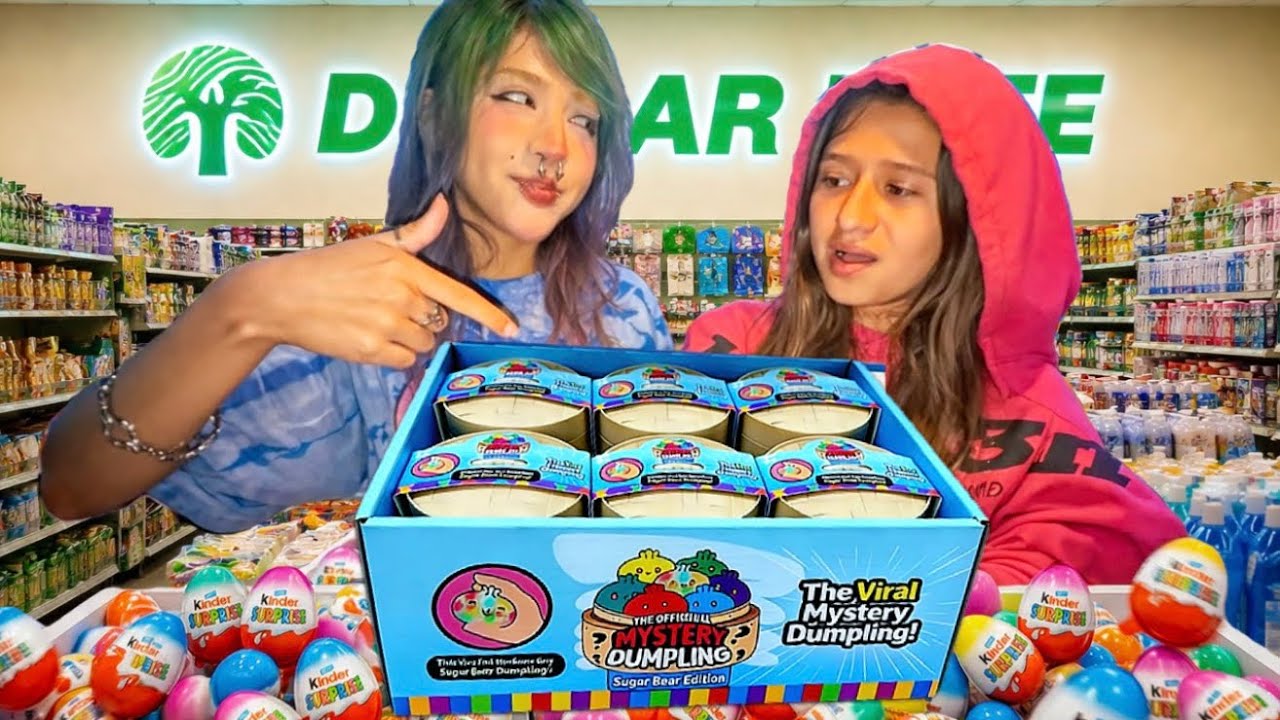 WE BOUGHT EVERY MISPLACED ITEM FROM DOLLAR TREE