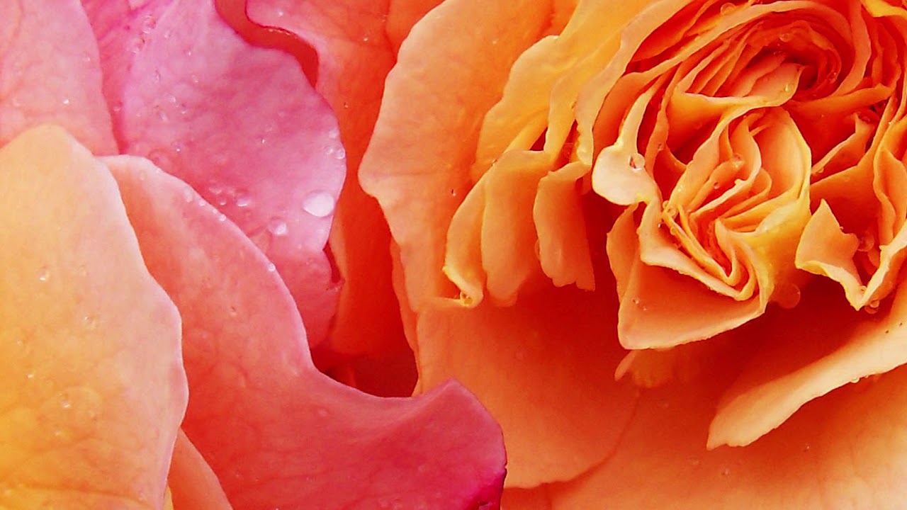 PARISINA - Pietro Mascagni