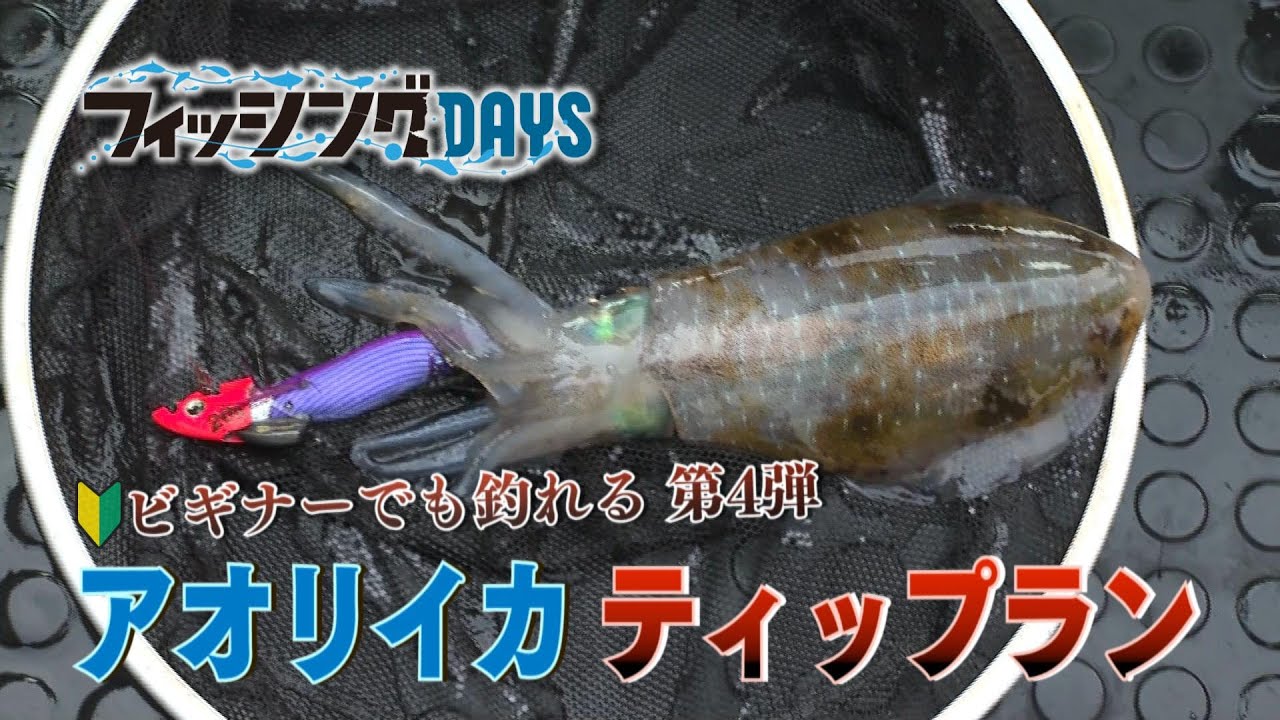 フィッシングDAYS　ビギナーでも釣れる第4弾！ アオリイカティップラン