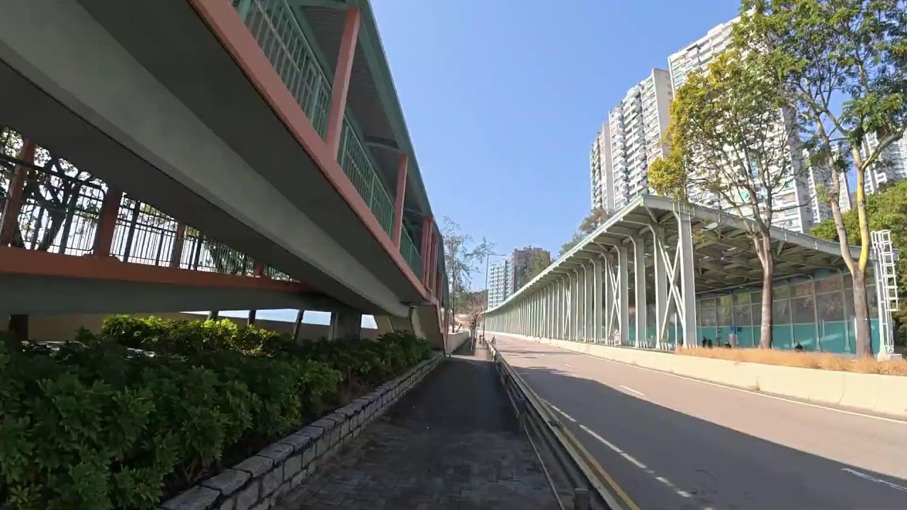 LIVE 影片測試 渣打馬拉松賽前練習