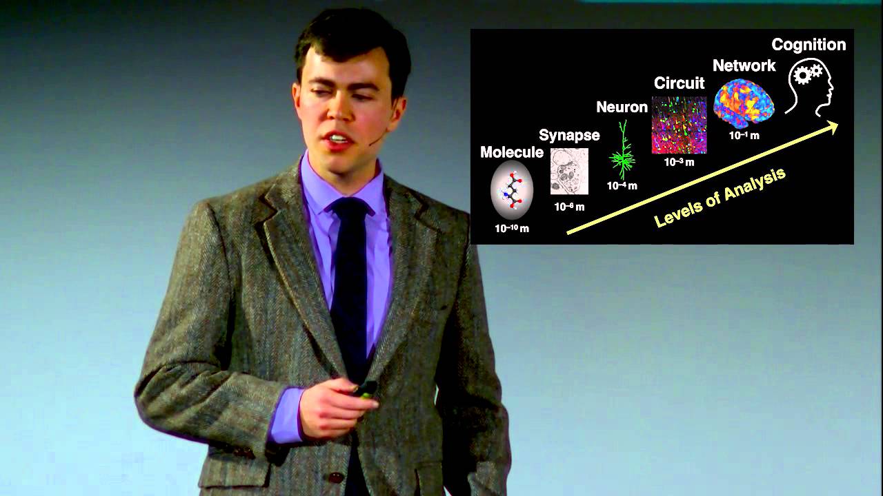 Why psychiatry needs computational models of the brain | John Murray | TEDxAmherst