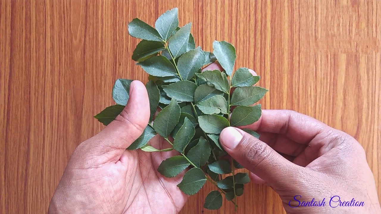 Leaf Art #easycraftideas #leafart