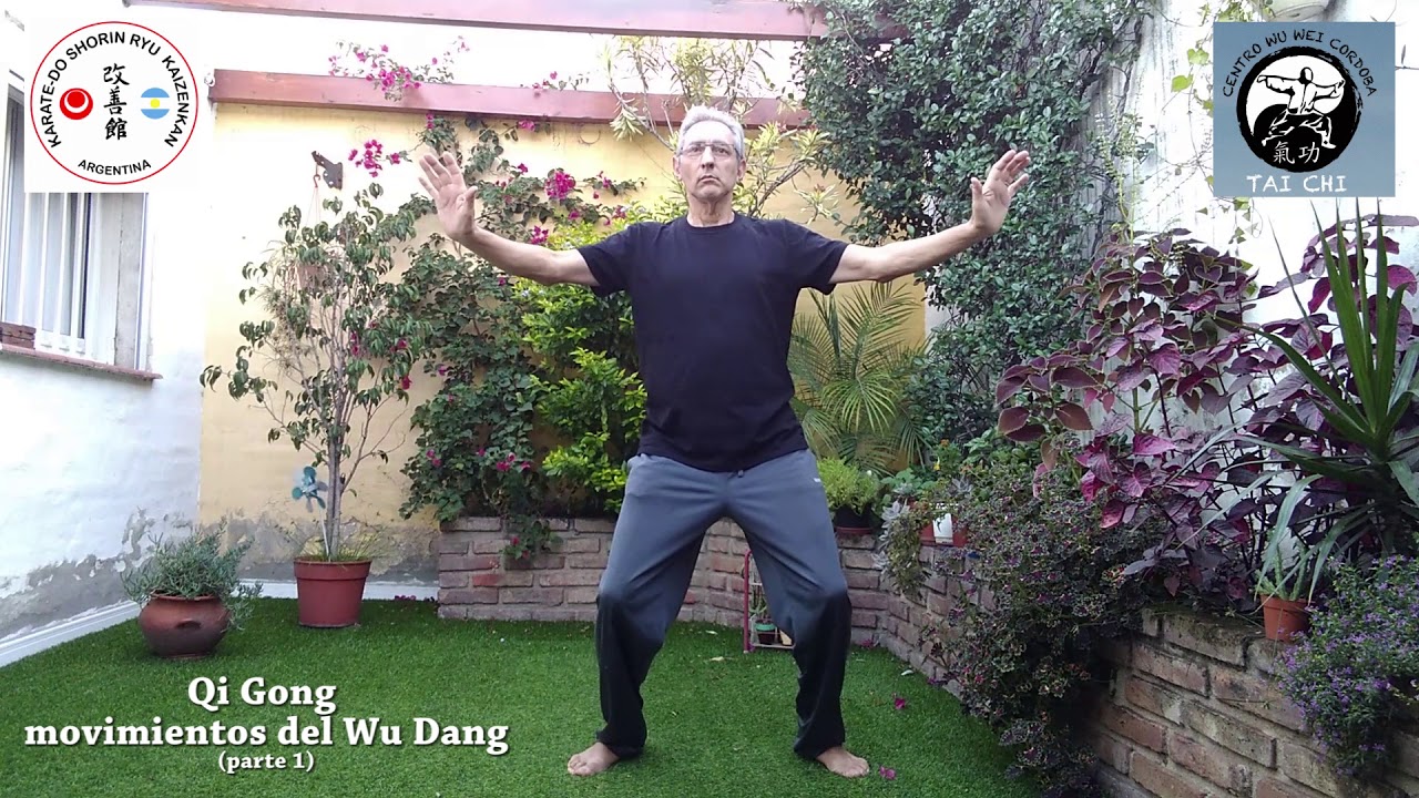 Movimientos Wu Dang Qi Gong (parte 1)