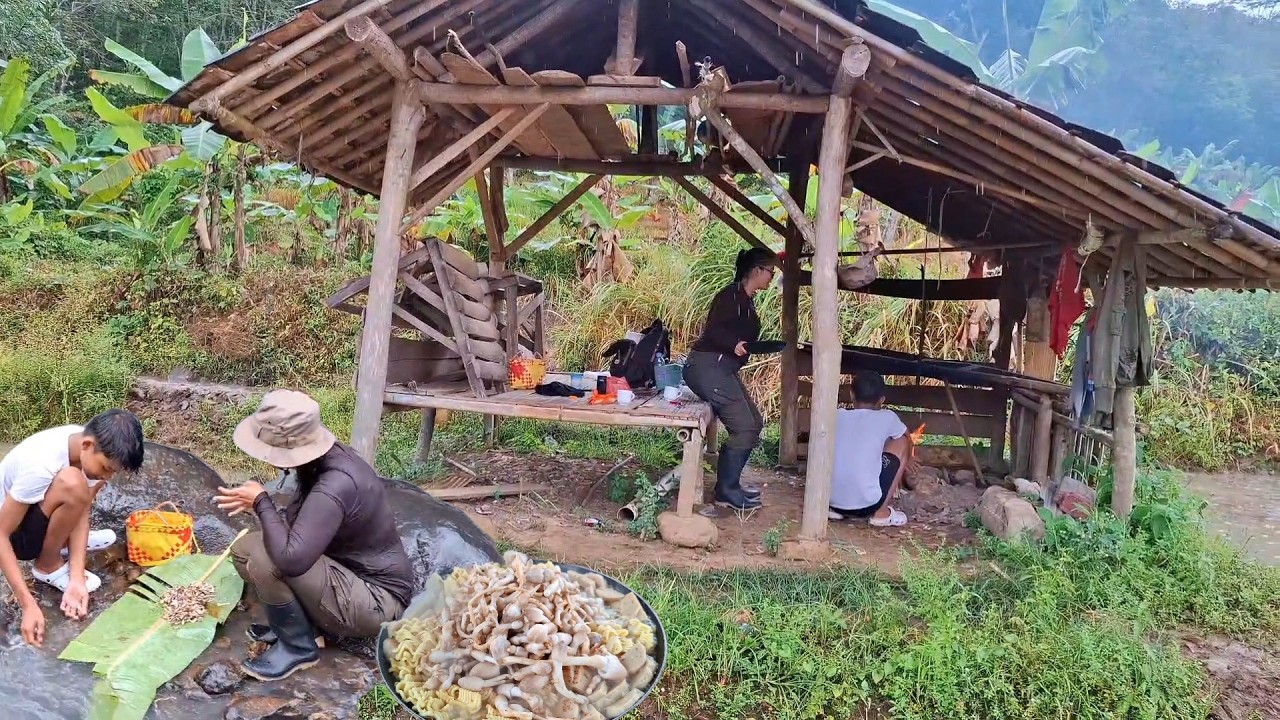 Rela HUJAN HUJANAN Demi MAKAN ENAK,, MASAK Jamur Jerami Padi Yang Adanya Cuman Habis Panen Padi Aja