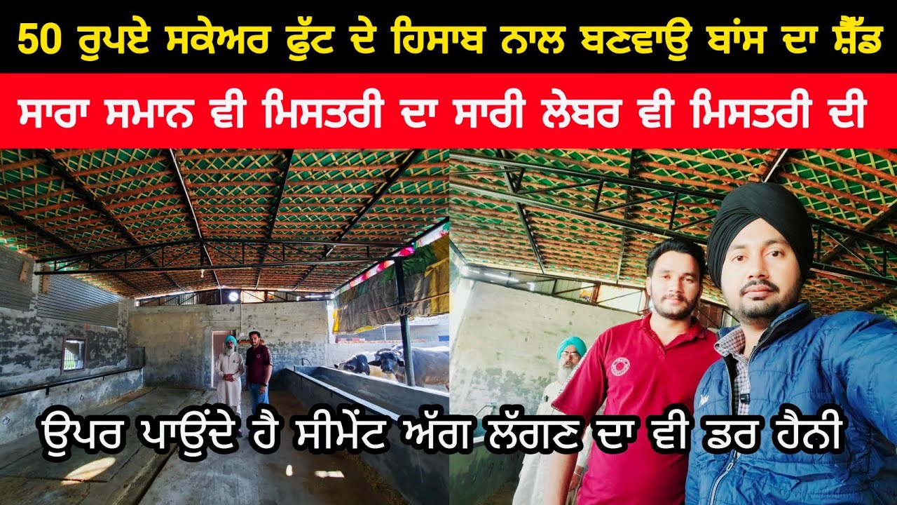 50 ਰੁਪਏ ਸਕੇਅਰ ਫੁੱਟ ਦੇ ਹਿਸਾਬ ਨਾਲ ਬਣਵਾਉ ਬਾਂਸ ਦਾ ਸ਼ੈੱਡ | COW SHED | DAIRY FARM SHED | BAMBOO SHED