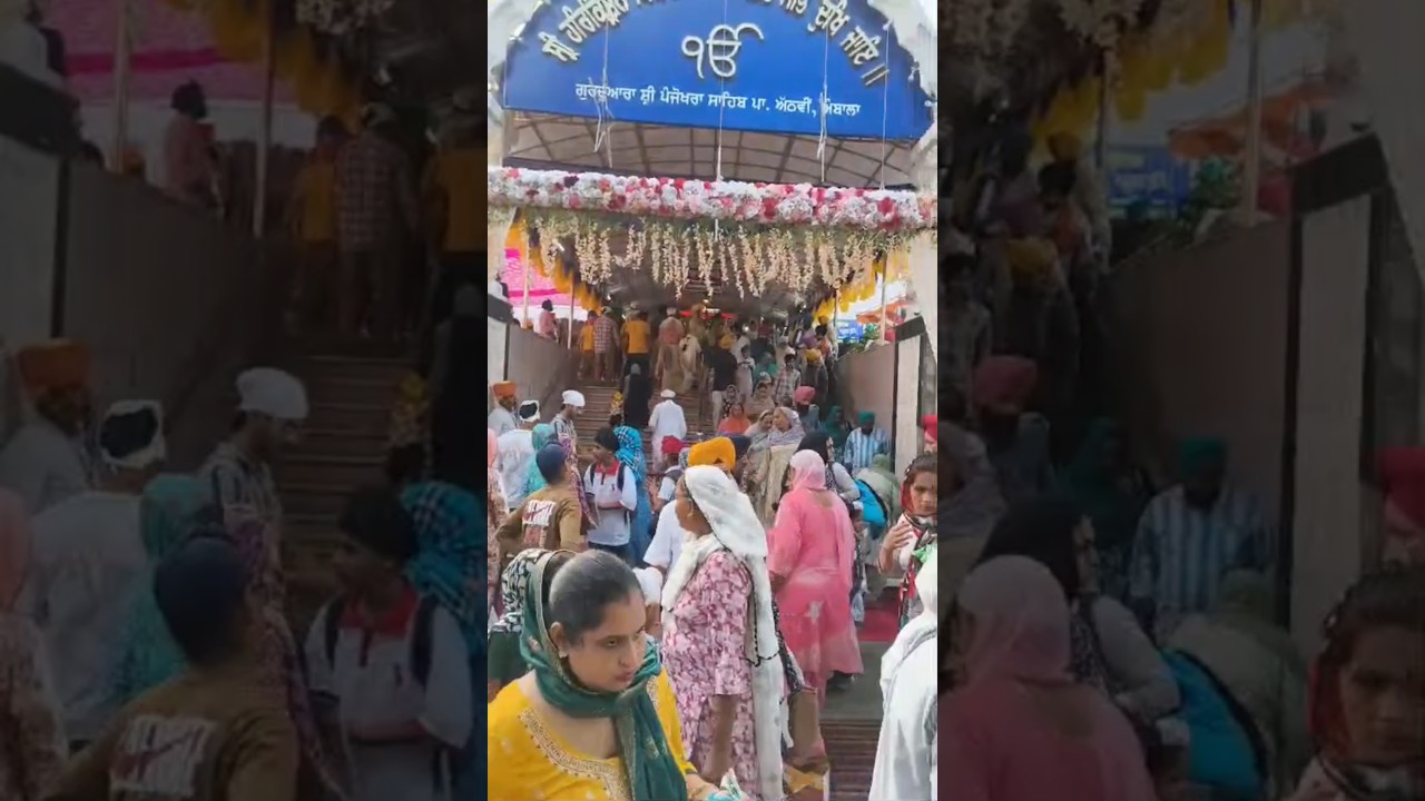 Pujhu Ram ek hi Deva # shorts # gurbani kirtan # trending video # you tube # daramadra