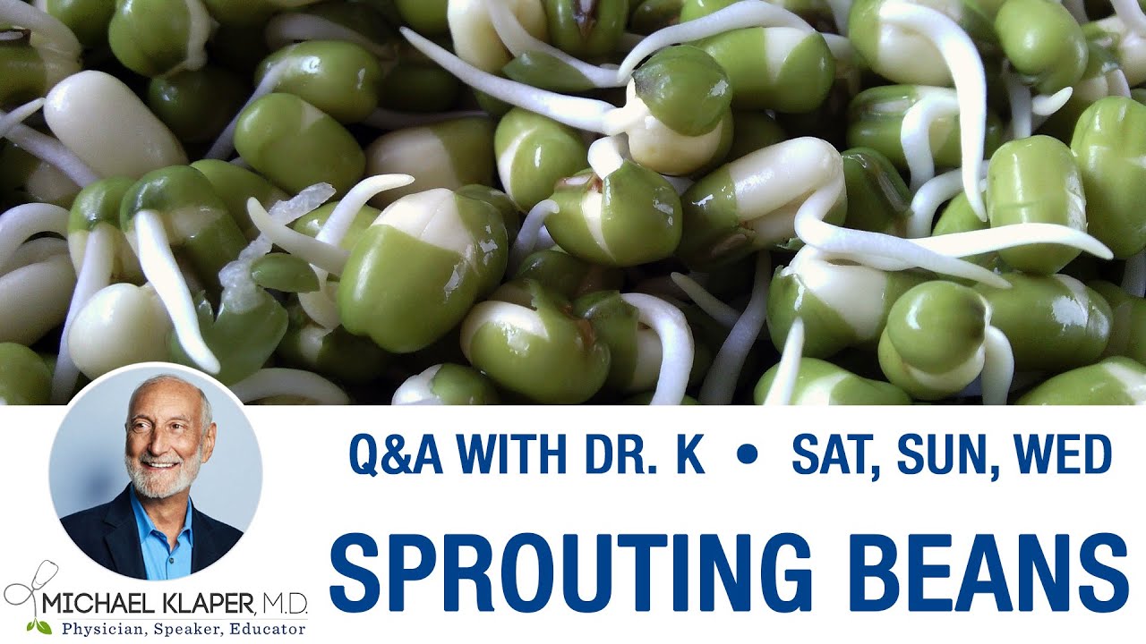 Sprouting Beans - Sprouting, Cooking & Removing Lectins
