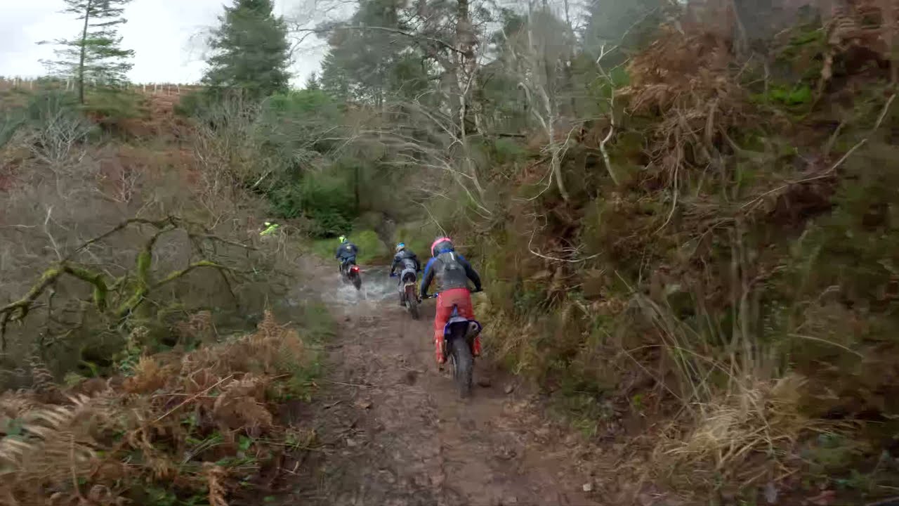 run before christmas enduro