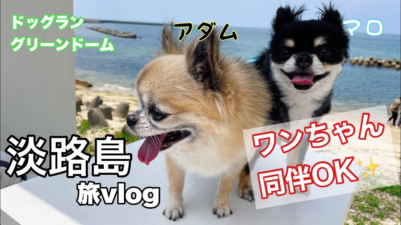 【ワンちゃんと一緒に楽しめる】淡路島日帰り旅行