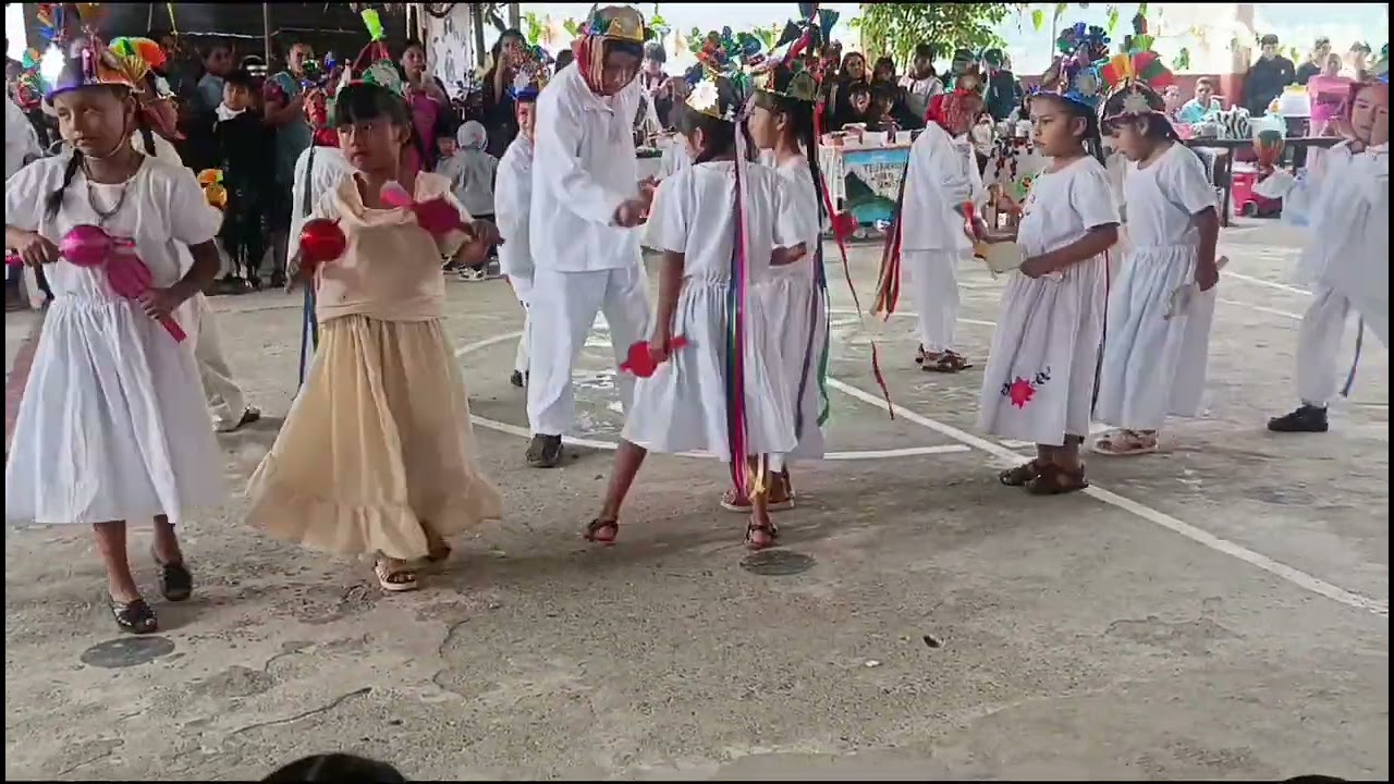 #tradicion y costumbre otatitlan tlachichilco 