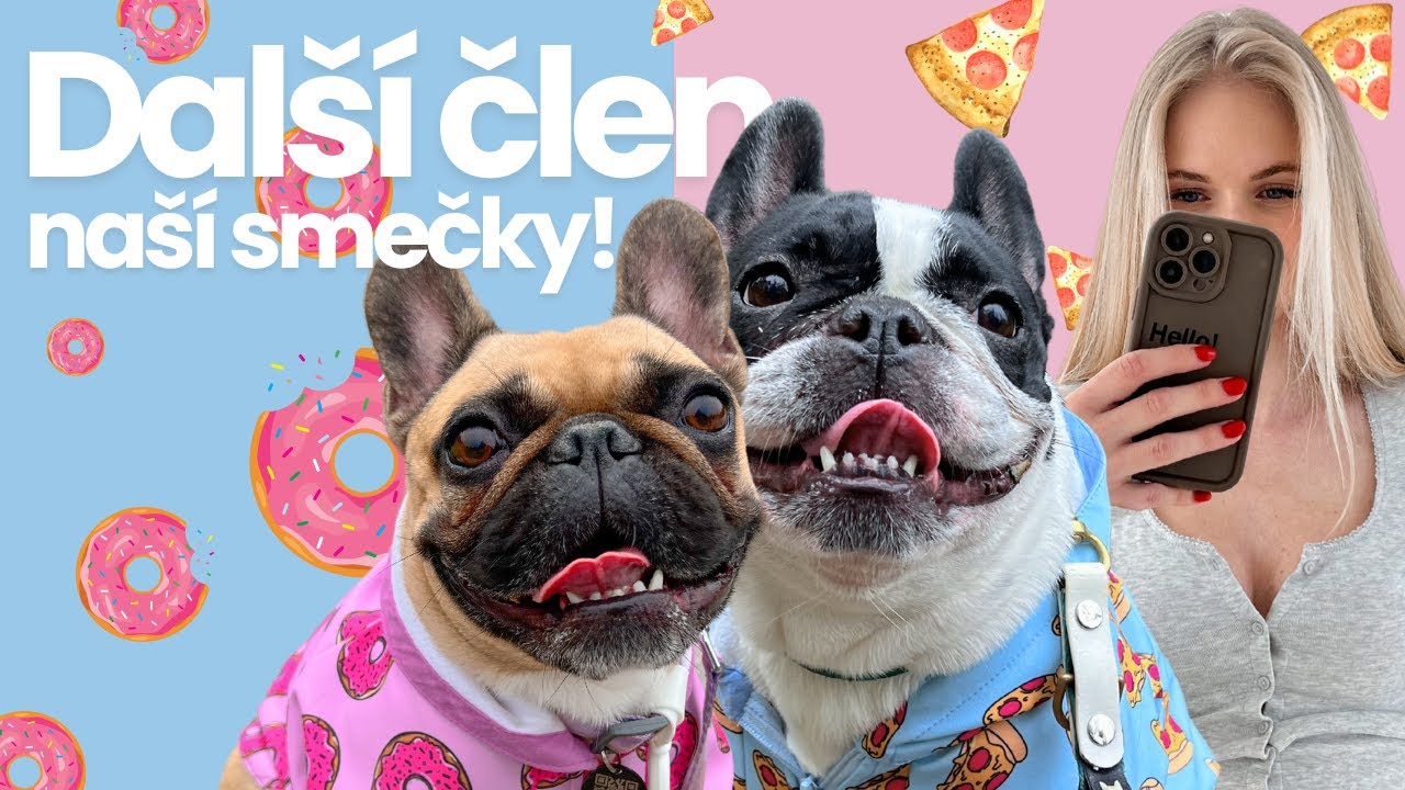 VLOG | Buldočí smečka se rozrostla!🐶ྀི🐶ྀི