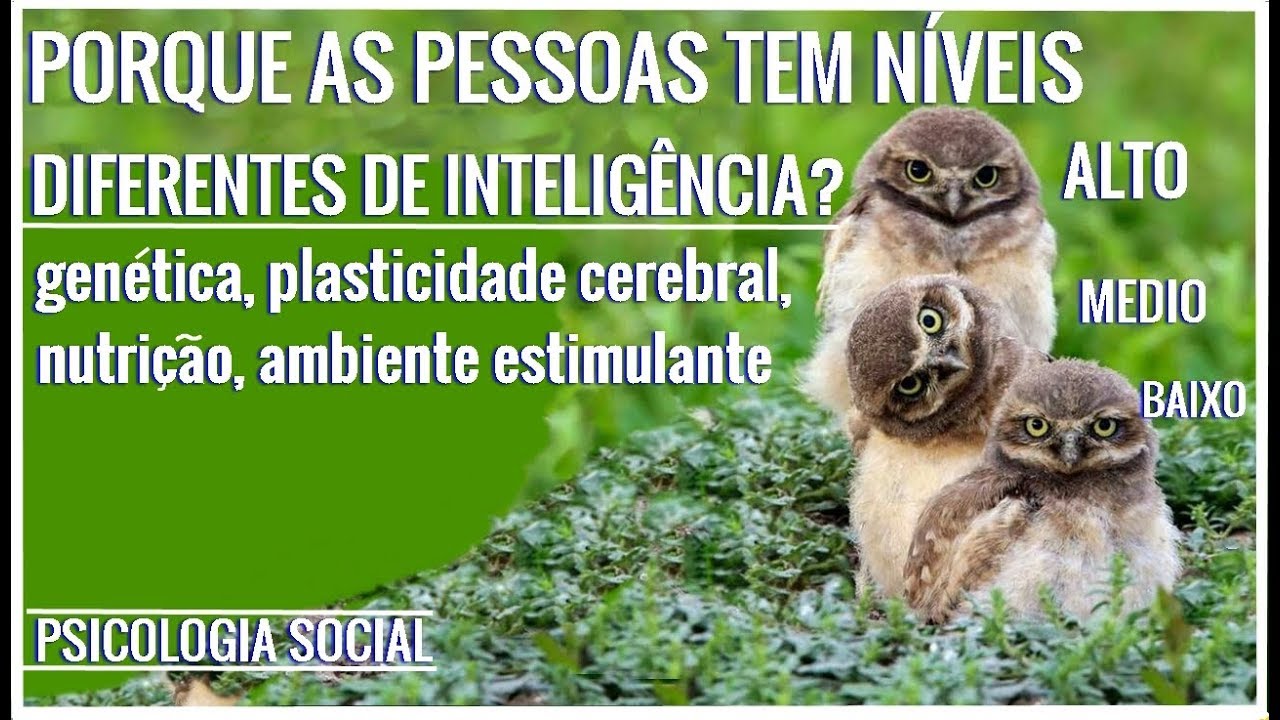 PORQUE AS PESSOAS TEM NIVEIS DIFERENTES DE INTELIGÊNCIA? PSICOLOGIA