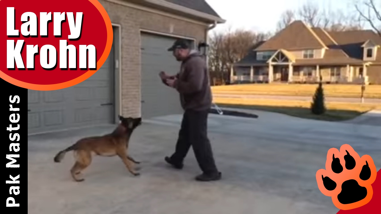 How To Make Dog Training Fun for Your Dog with Pak Masters of Nashville/Bowling Green