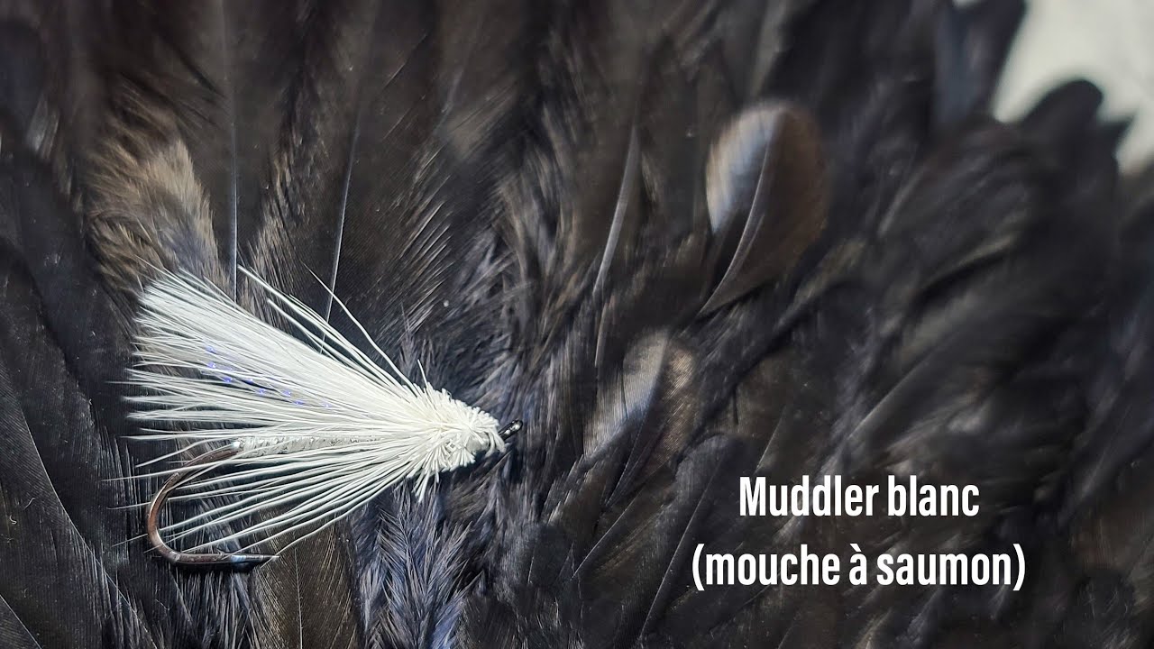 Muddler blanc montage par Benoit Farcy