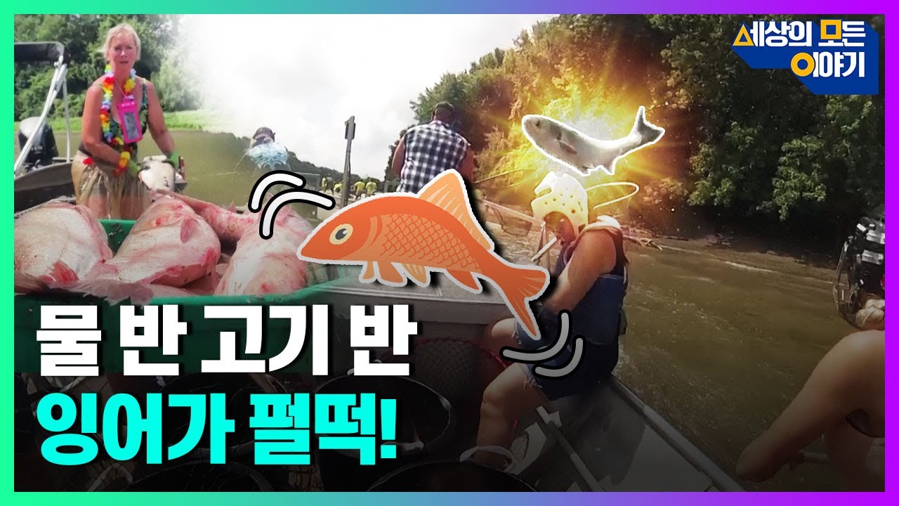 가만히 있어도 잉어가 펄떡 뛰어오르는 그 곳ㅣ세모이 [31회] / YTN2
