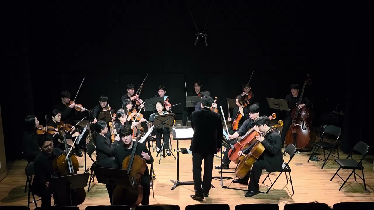 G.F.Händel - Trio Sonata in g HWV393 (arranged for two cellos and string chamber) (1st & 2nd mov)