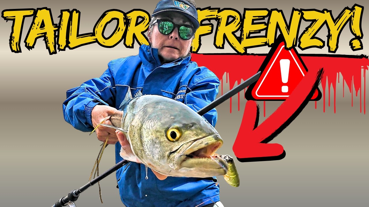 Tailor Fishing MAYHEM в замкнутом озере!