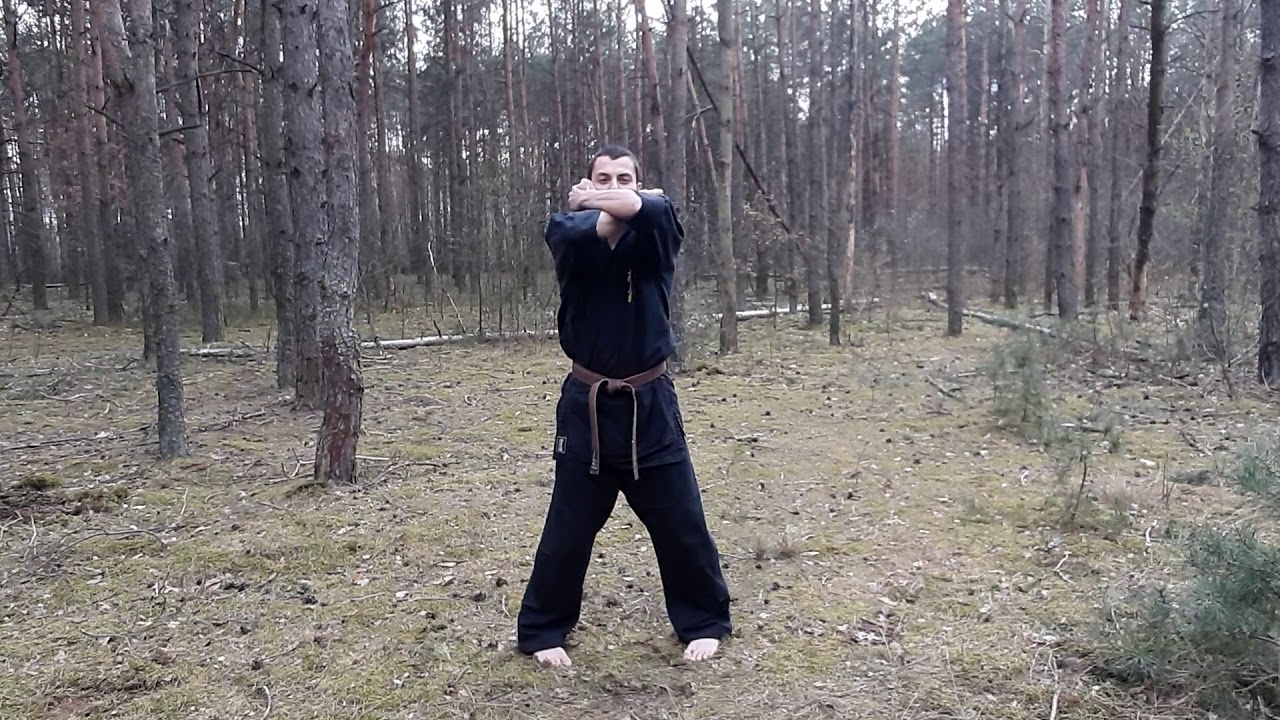 Стойки на 10 кю (белый пояс)