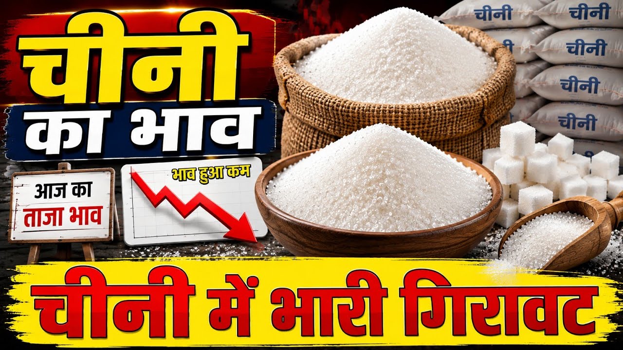 चीनी में आई बहुत बड़ी गिरावट, Sugar Wholesale Price Today, Chini ka Aaj ka bhav, Sugar Price #chini