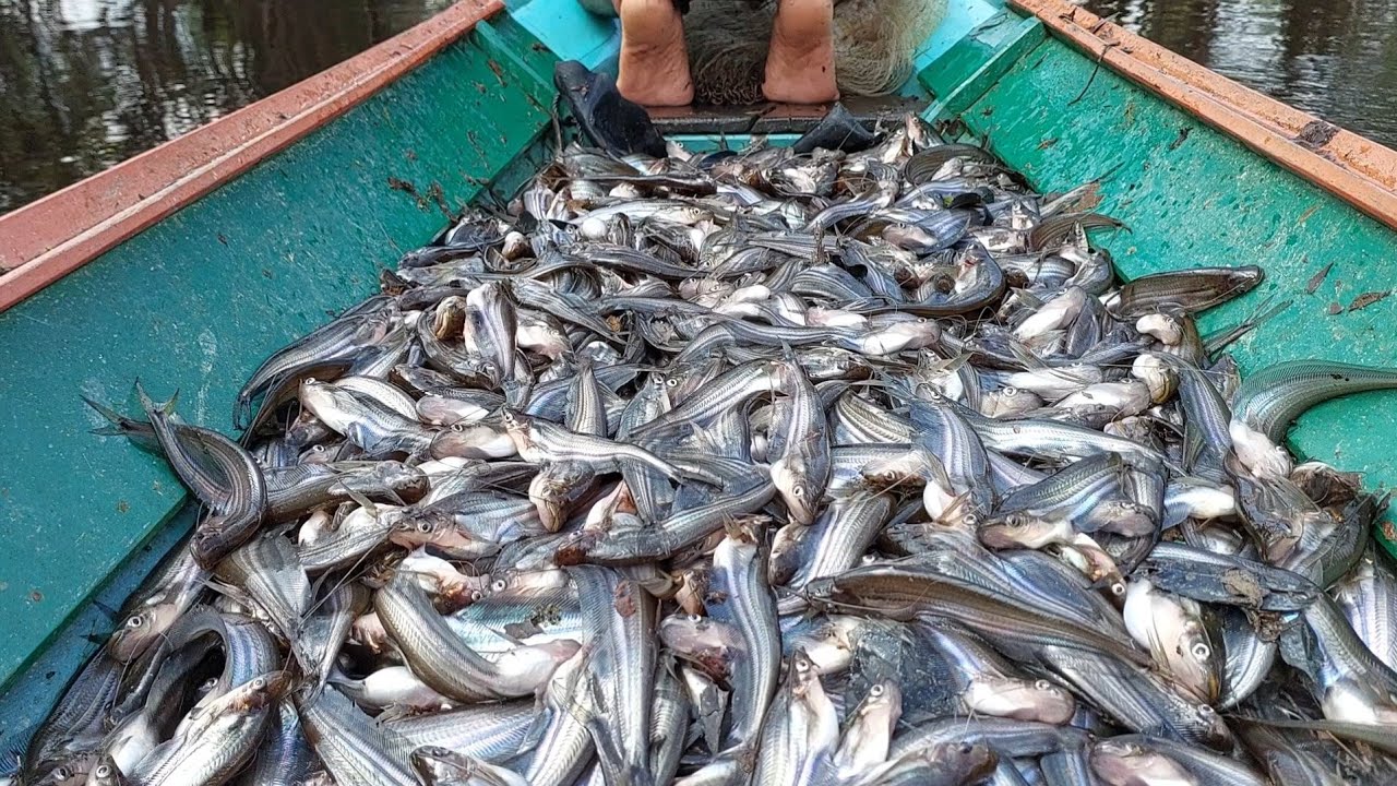 REZEKI MEMANG TIDAK PERNAH TERTUKAR... MUSTI DIAM