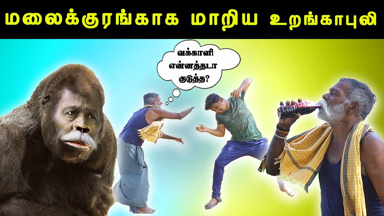 monkey prank/urangapuli with monkey prank/vvd prank
