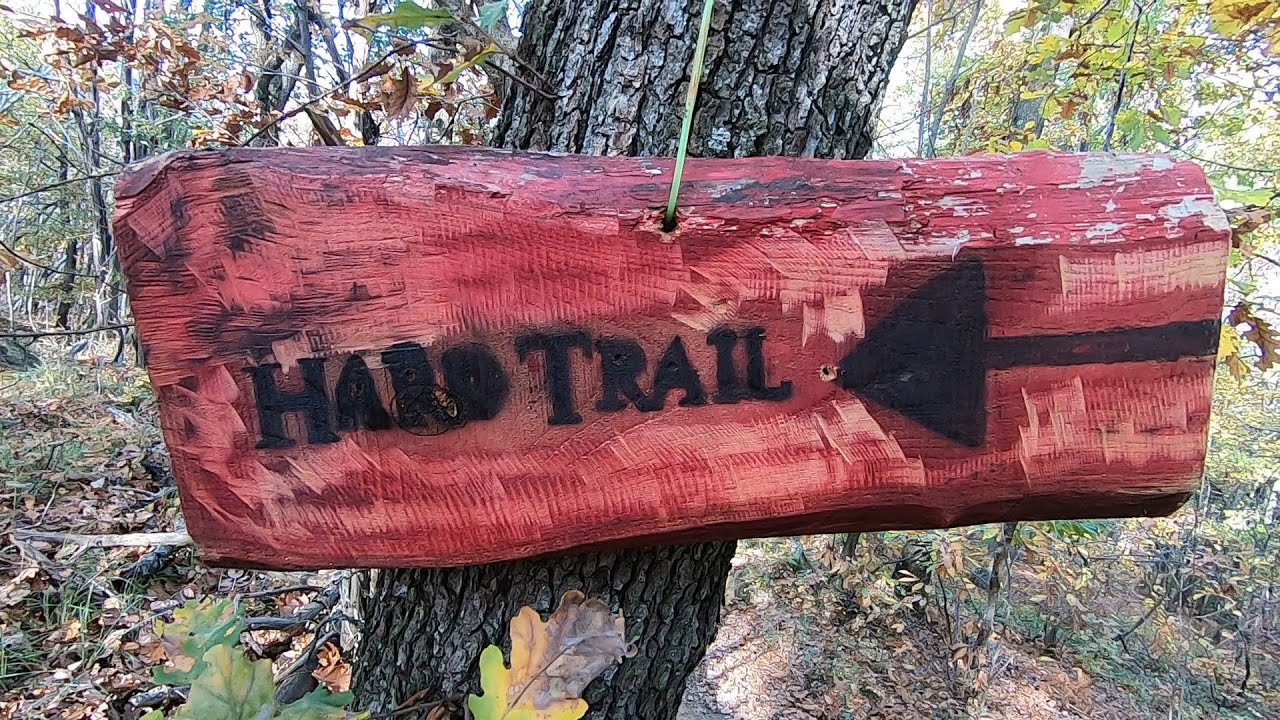 Trail sul Monte delle Formiche, boschi e sentieri sui colli bolognesi