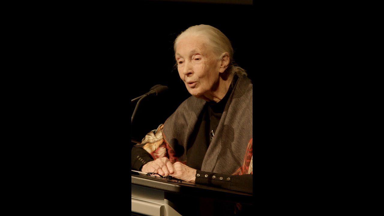 Dr. Jane Goodall on Animal Personalities