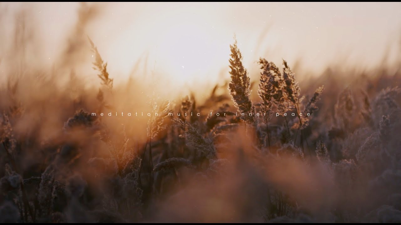 R E T U R N - T O - S T I L L N E S S  |  Meditation Music for Inner Peace