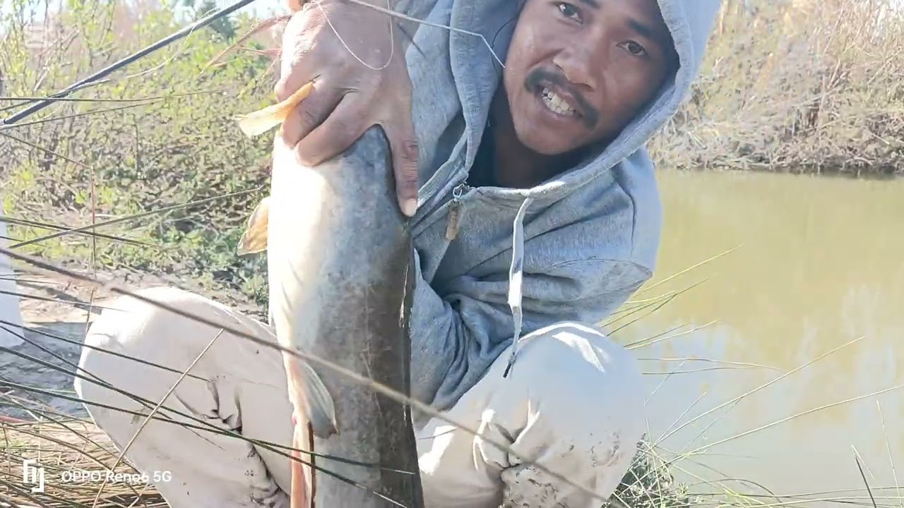 ตกปลาด้วยเหยื่อหัวใจไก่ สุดหมาน🐟🐟