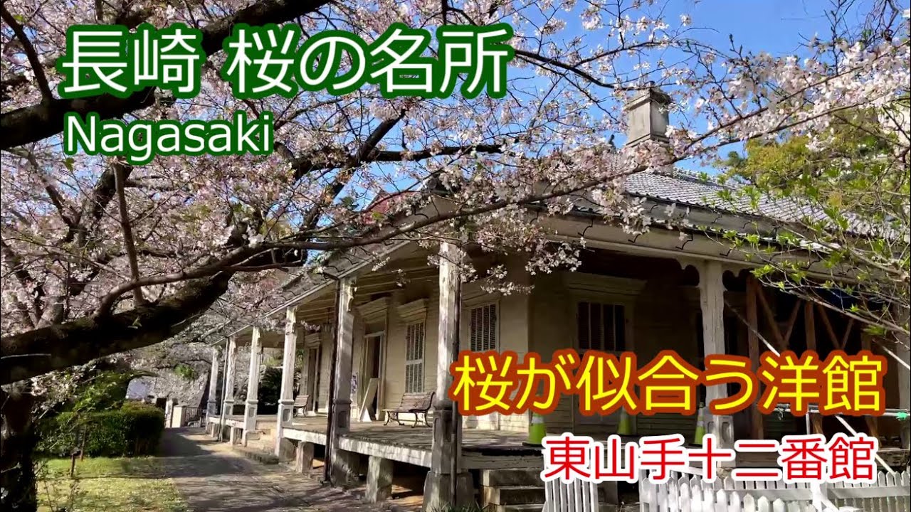 【長崎 桜の東山手十二番館】 ”満開の桜が似合う洋館” 「長崎 桜の名所 東山手十二番館の景色」（地図付）