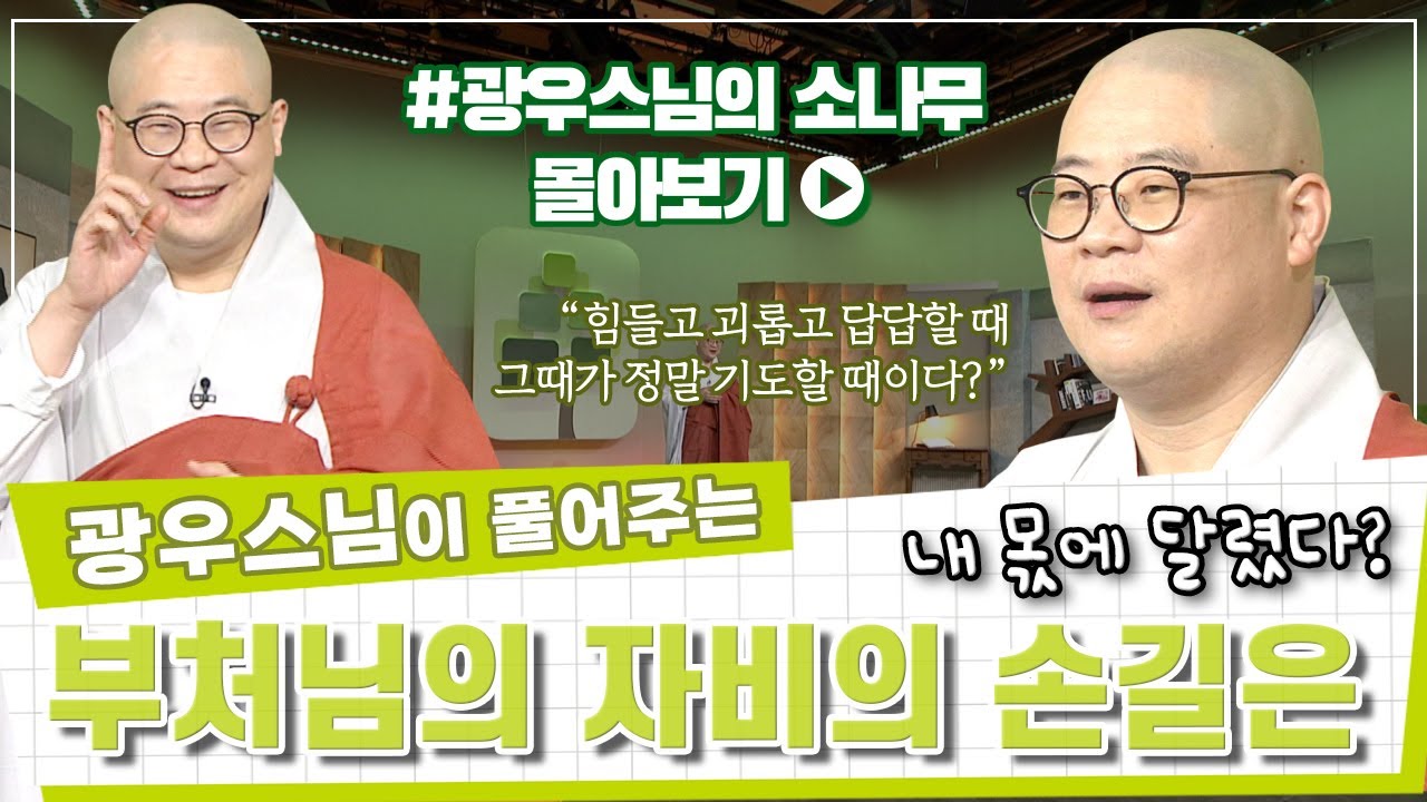 부처님의 자비의 손길을 받을 수 있는 인연은 내가 만드는 것이다?ㅣ진정으로 기도하고 가피를 받는 방법은? [광우스님 소나무 시즌 3 3편 몰아보기]