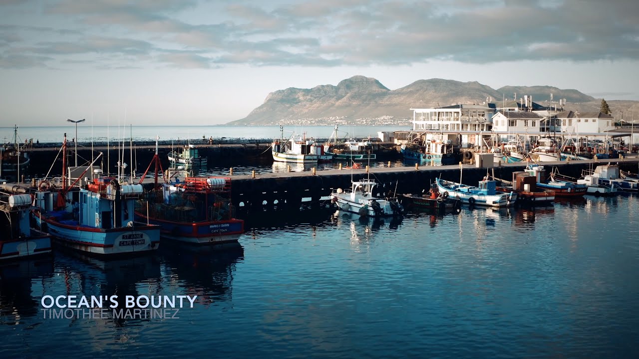 Timoth&eacute;e Martinez (ft. Ambre Laurent) - Ocean's Bounty / OFFICIAL MUSIC VIDEO