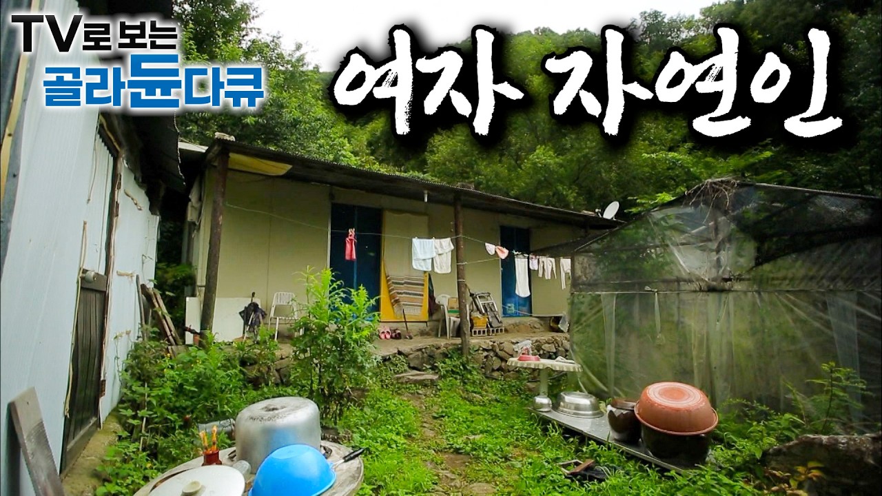 식당도 없고 배달도 되지 않는 오지에 사는 여자 자연인 모음｜가장 깊은 산골 마을 맨 꼭대기에 집을 짓고 사는 할머니｜산악계의 전설이 자연인이 된 이유｜한국기행｜#골라듄다큐