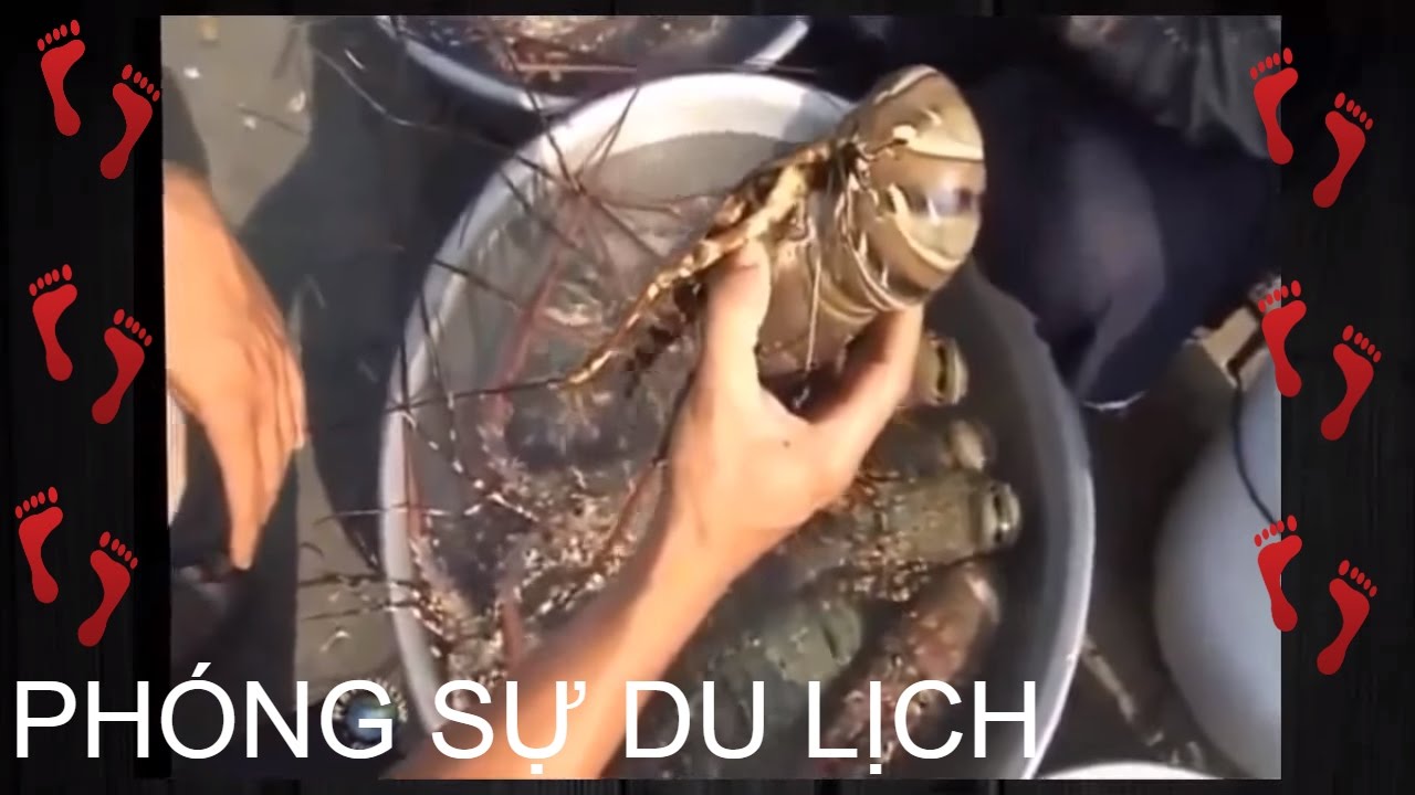Phóng Sự | Du Lịch Phan Thiết - Ra Biển Ăn Hải Sản