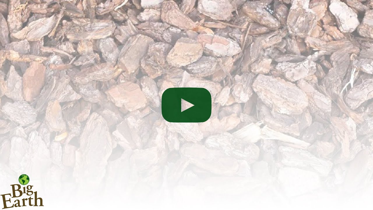 Pine Bark from Big Earth Supply