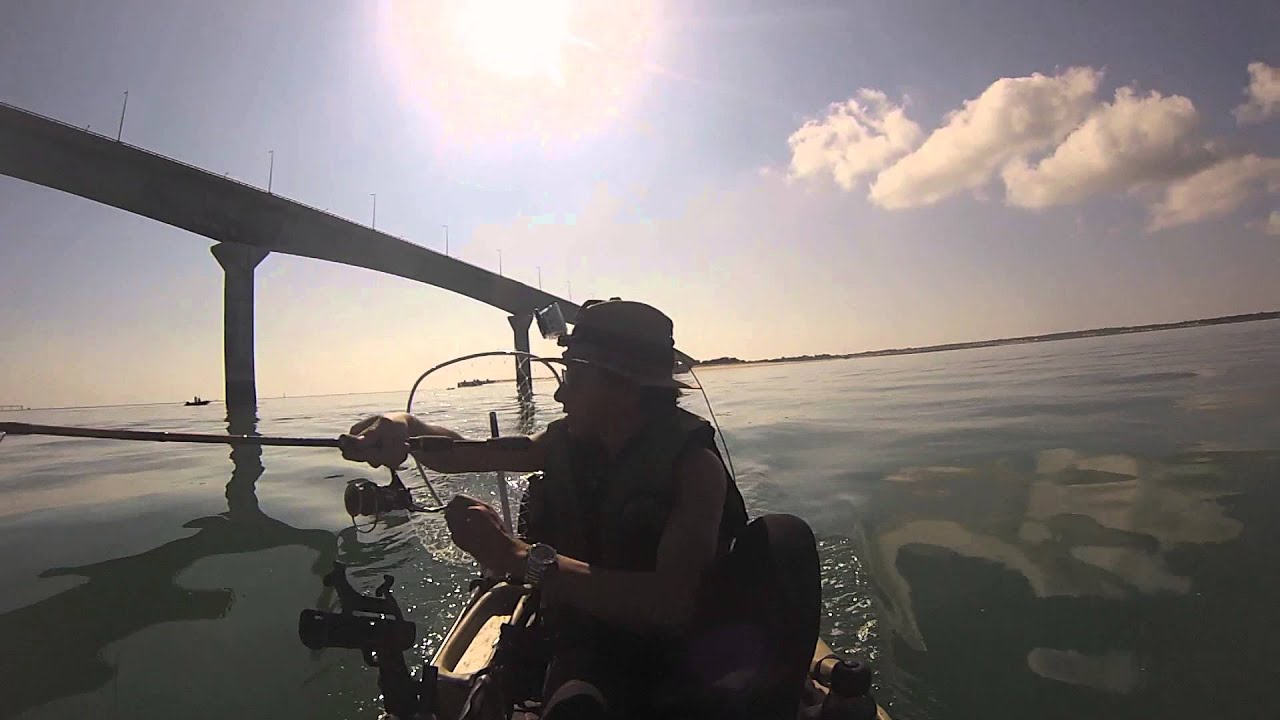 Pêche île de Ré: bars et bonites en kayak