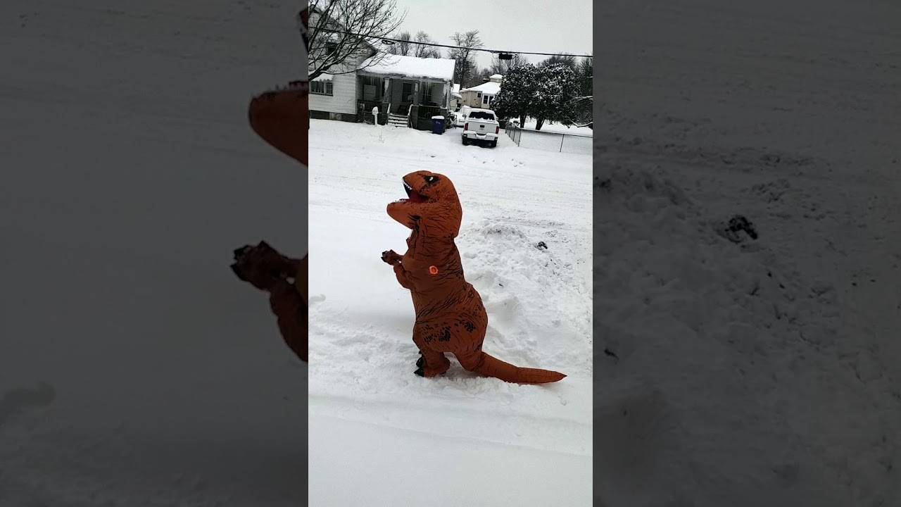 T-REX SNOWBALL FIGHT 2018!!!