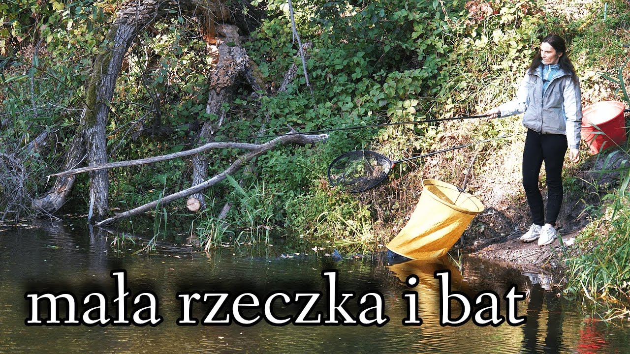 Znienawidzony a nim wygrywasz. Łowienie batem na rzeczce który miażdży tyczkę.