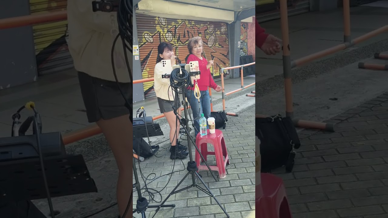 台南市立棒球場眷村年貨大街 街頭藝人林孟霏fei演唱擁抱你離去